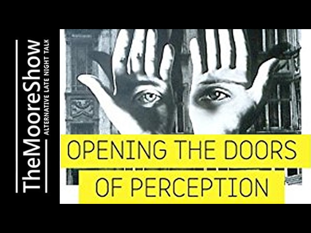 Opening The Doors of Perception by Connecting to Your Higher self | Podcast #471