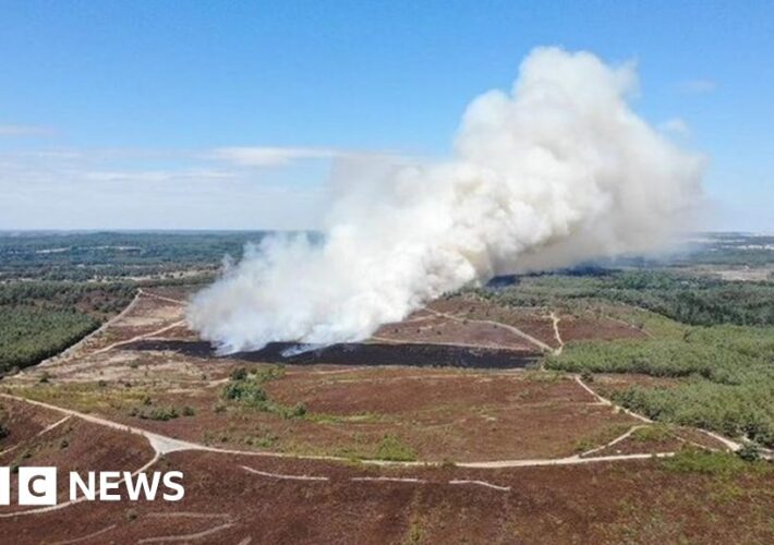 Surrey ‘major incident’ declared as grass fire ignites