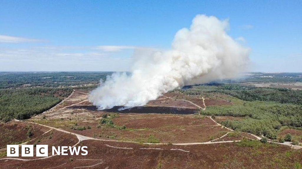 Surrey ‘major incident’ declared as grass fire ignites