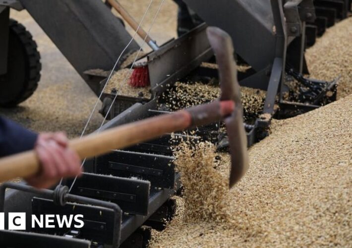 The bottlenecks on alternative routes to export Ukrainian grain