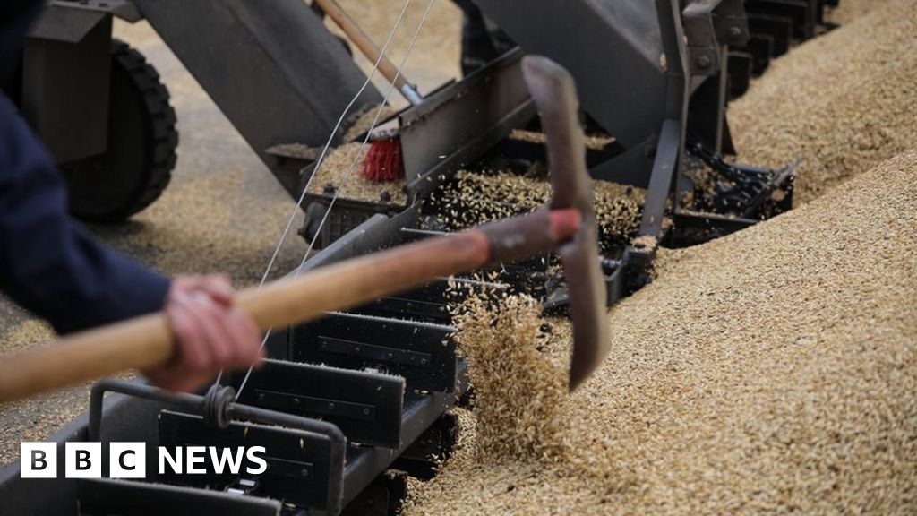 The bottlenecks on alternative routes to export Ukrainian grain The bottlenecks on alternative routes to export Ukrainian grain