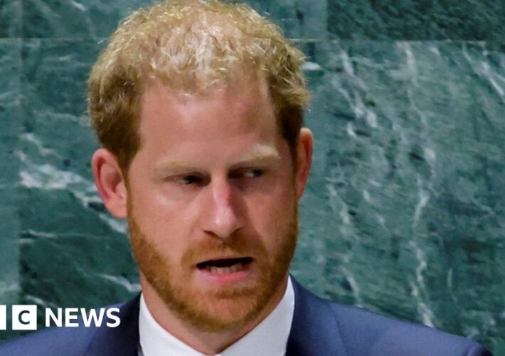 Prince Harry warns UN of global assault on freedom