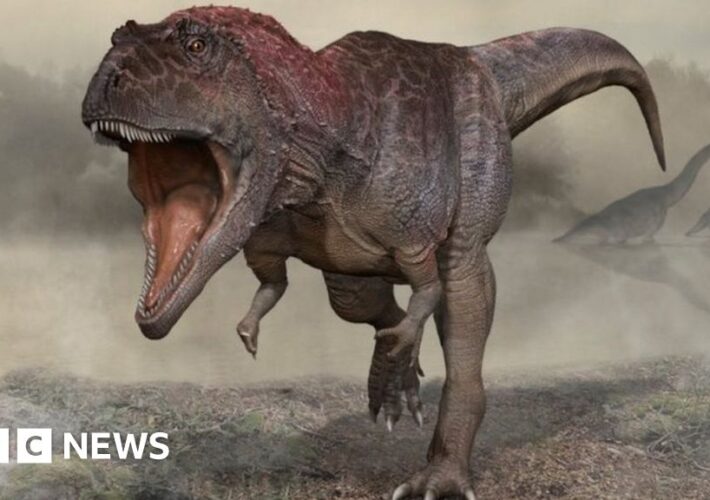 Dinosaur finding hints at why T-rex had small arms