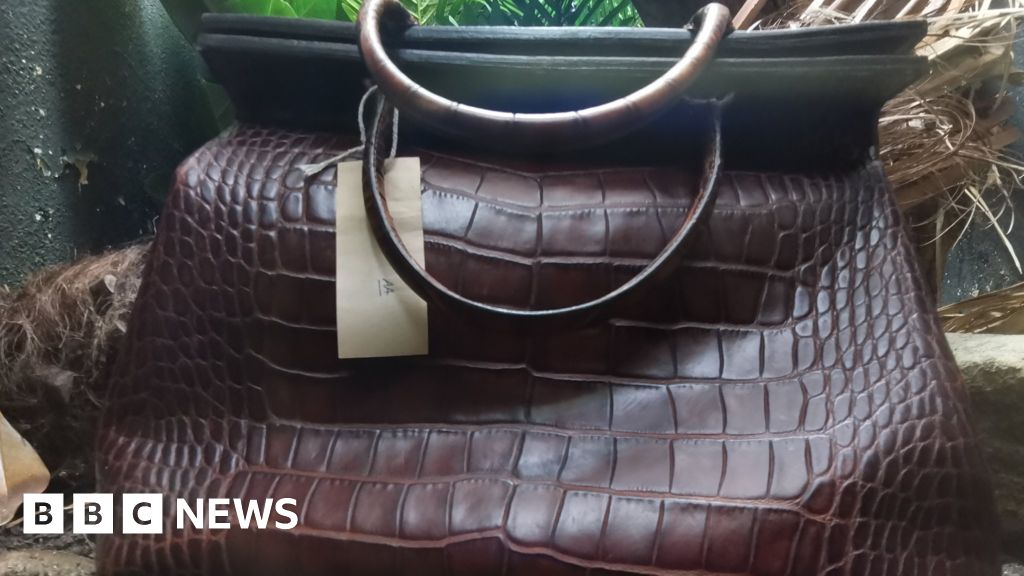 London Zoo’s crocodile skin handbag display goes viral