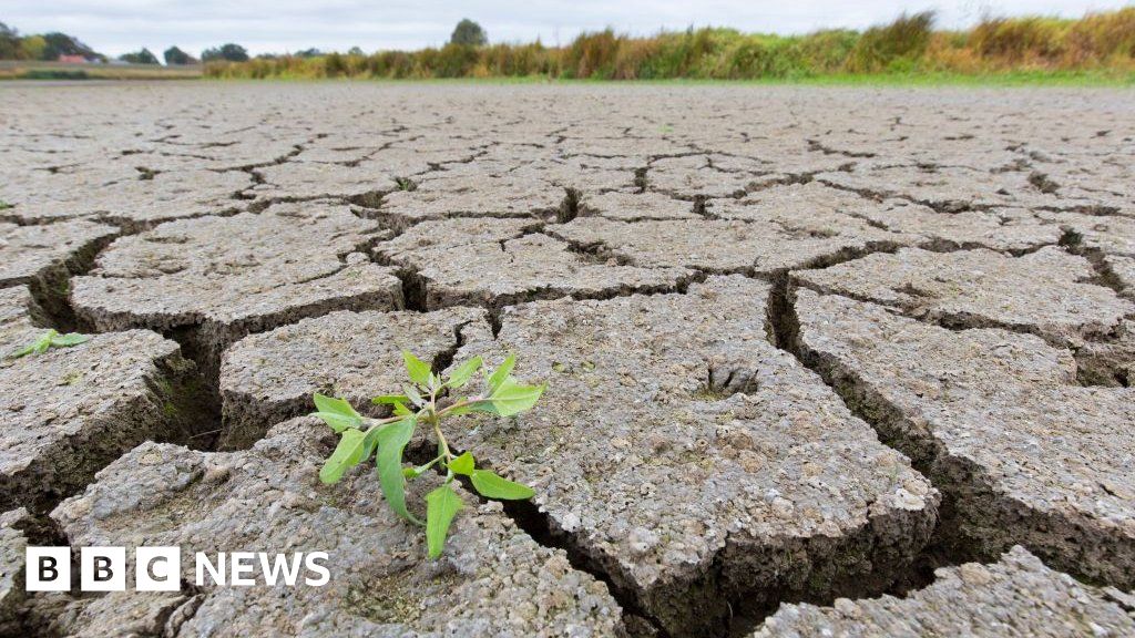 Thunderstorms Why Drought Can Lead To Dangerous Flooding The Isnn