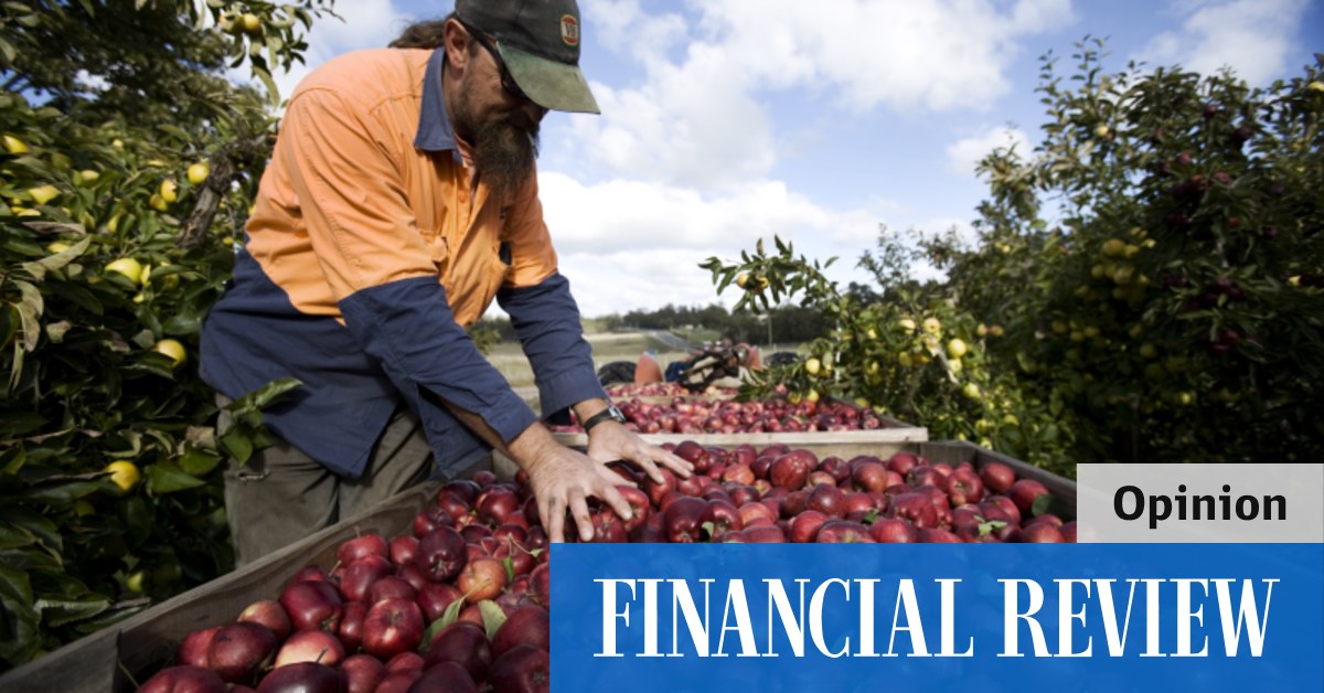 Step up immigration because we have run out of people