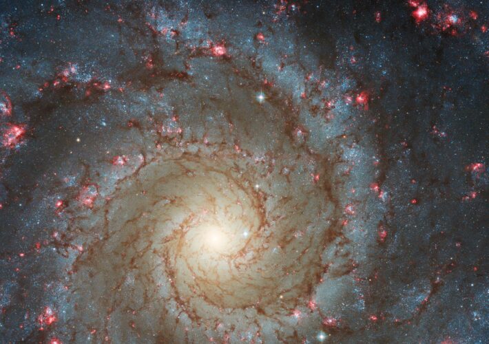 Stunning Hubble Image Reveals Fresh Star Formation in Phantom Galaxy