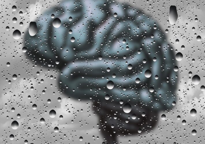 Brain Fog – Can Animals Get It Too?