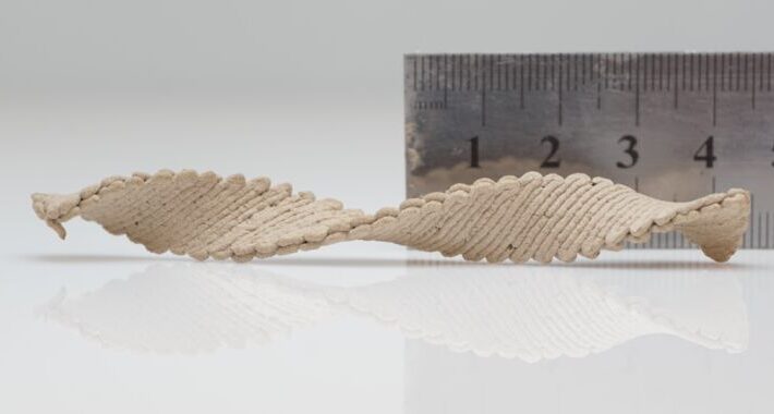 These self-morphing 3D wood shapes could be future of wood manufacturing These self-morphing 3D wood shapes could be future of wood manufacturing