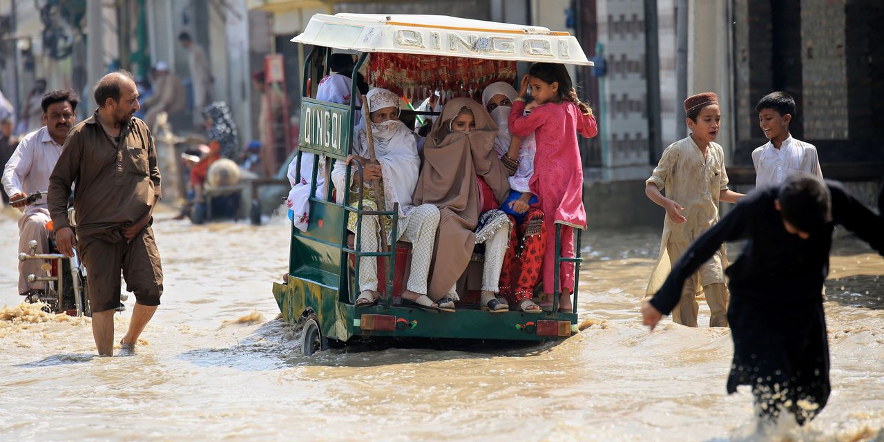 Pakistan Looks to Russian Wheat to Make Up for Flood-Hit Crops