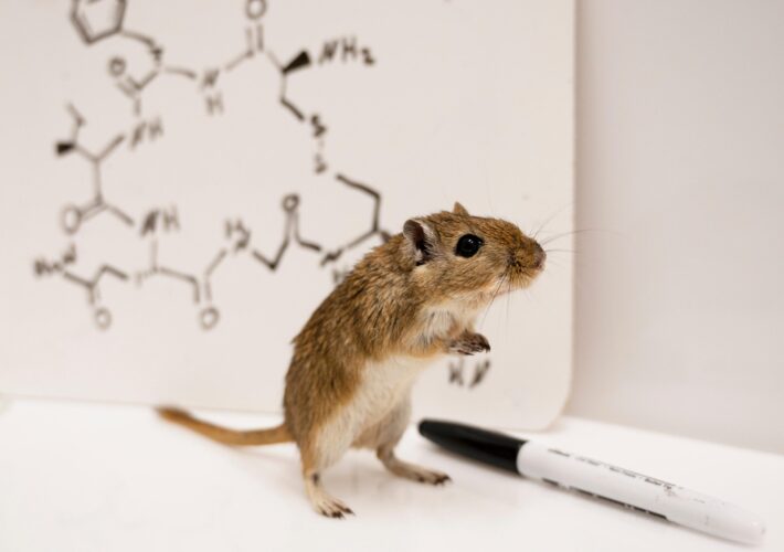 Study Finds That Testosterone Promotes “Cuddling”