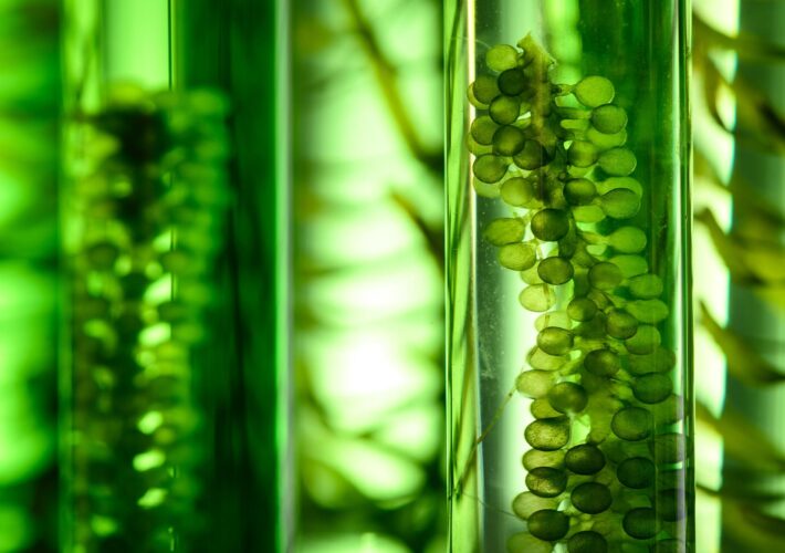 Availability of Vital Renewable Energy Source at Risk From Climate Change