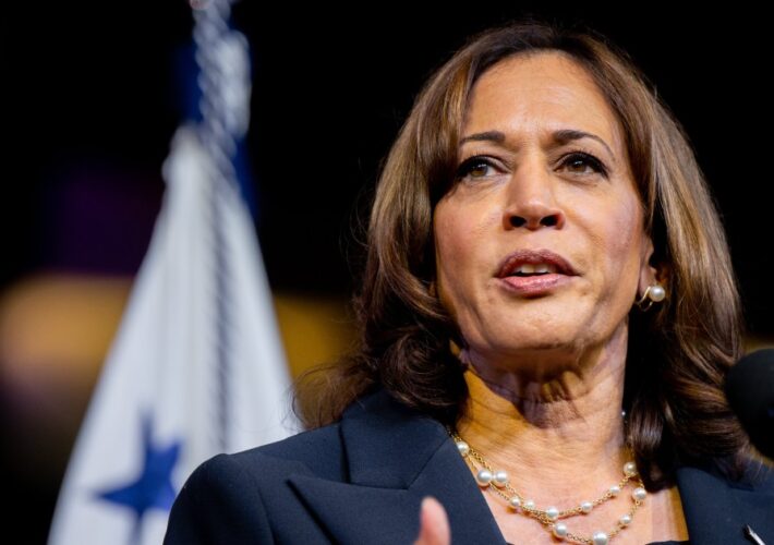 Kamala Harris calls domestic threats ‘dangerous’ and ‘harmful’