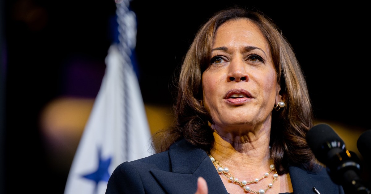 Kamala Harris calls domestic threats ‘dangerous’ and ‘harmful’