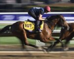 Dirt newcomer City of Troy favored at Breeders’ Cup Classic